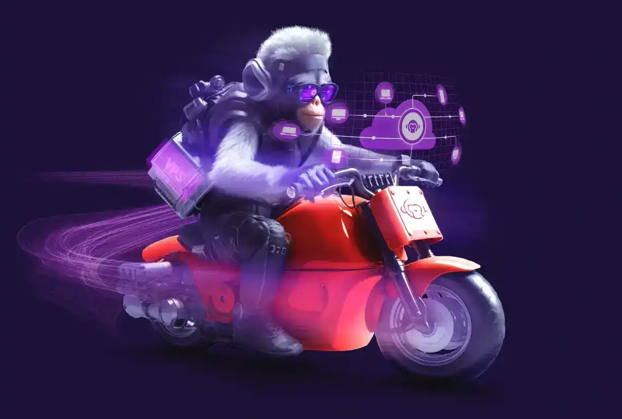 Monkey on a motorcycle